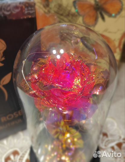 Роза в колбе
