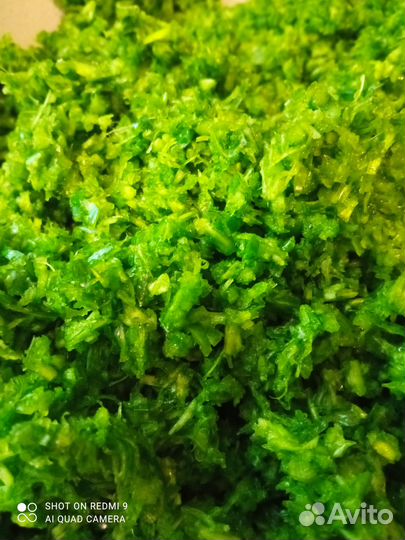 Укроп, базилик, чеснок стрелки замороженные