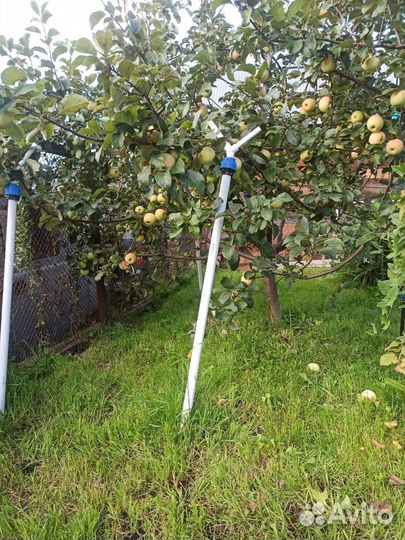 Подпорка для яблони, держатель садовый