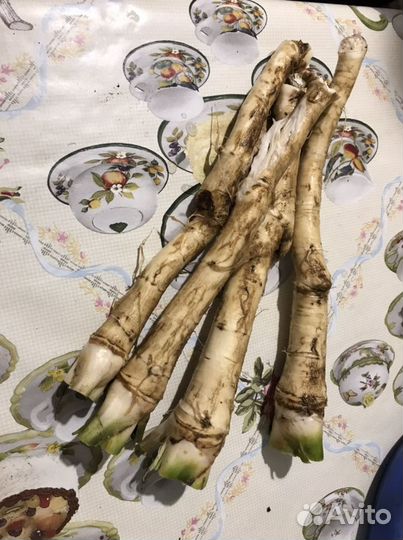 Корень хрена, чеснок