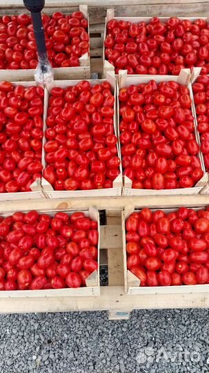 Помидоры пальчики,огурцы