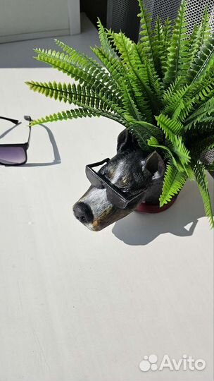 Кашпо для суккулентов