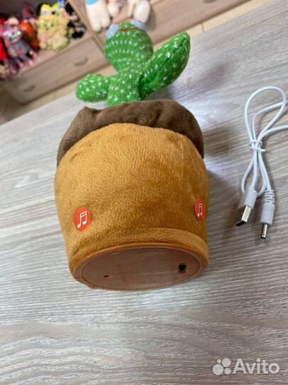 Танцующий кактус