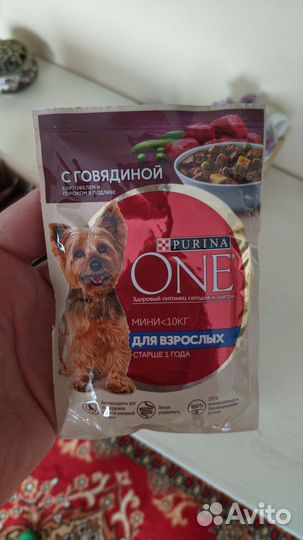 Корм для собак purina