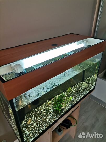 Аквариумы, грунт