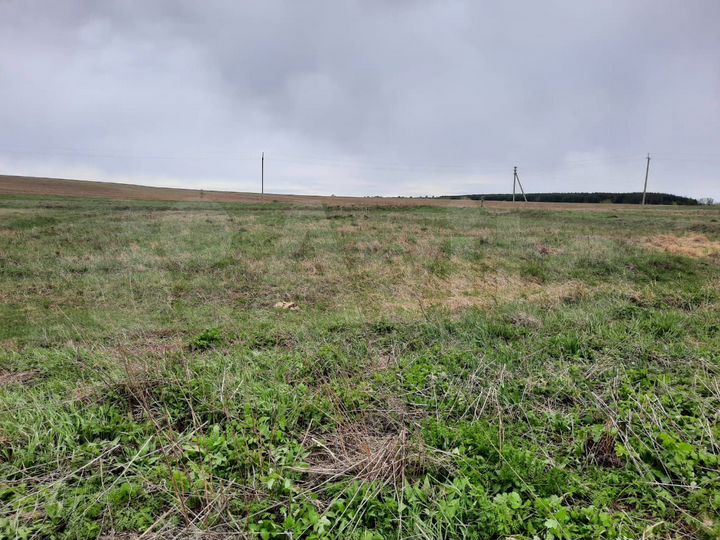 Участок 37 сот. (ИЖС)