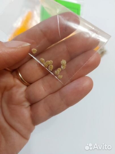 Семена томатов