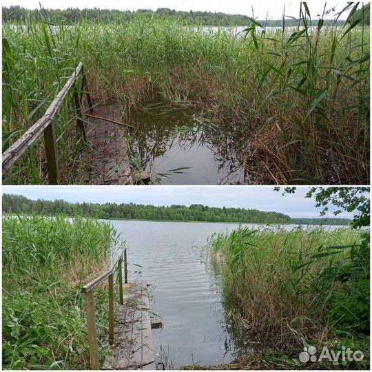 Покос травы, расчистка участка, вырубка кустарника