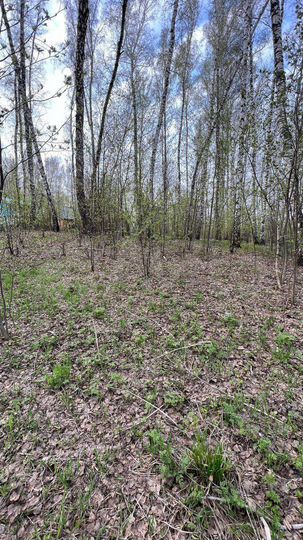 Участок 10 сот. (СНТ, ДНП)