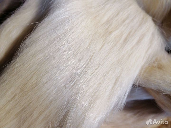 Шкурки нутрий на поделки