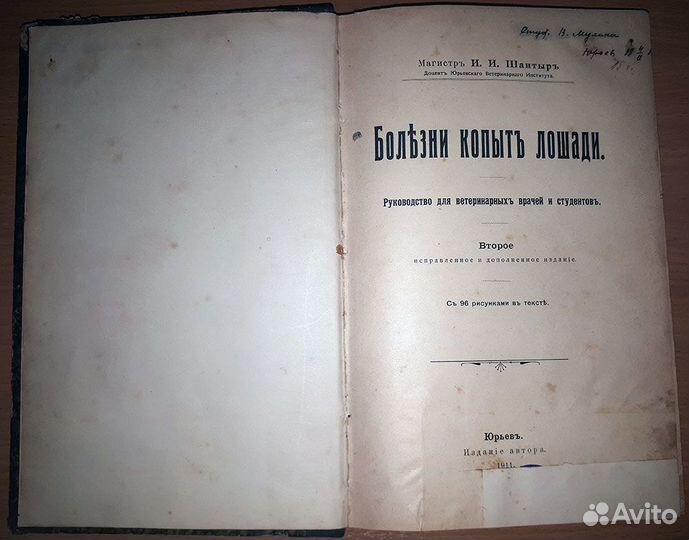 Болезни копыт лошадей 1911