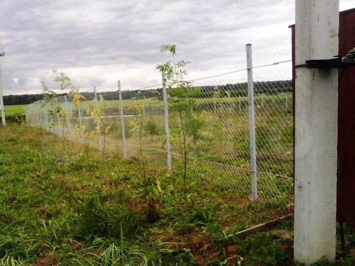 Участок 9 сот. (СНТ, ДНП)