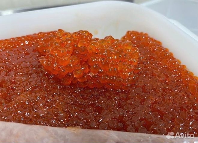 Красная икра горбуша/кета/форель
