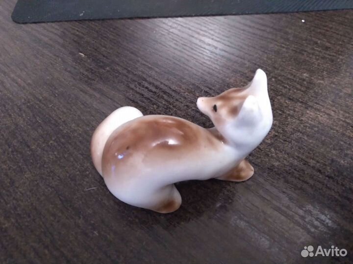 Лиса фарфоровая