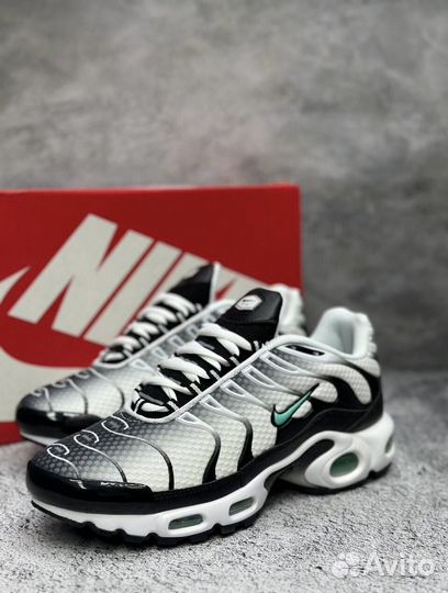 Кроссовки мужские Nike Air Max tn Plus