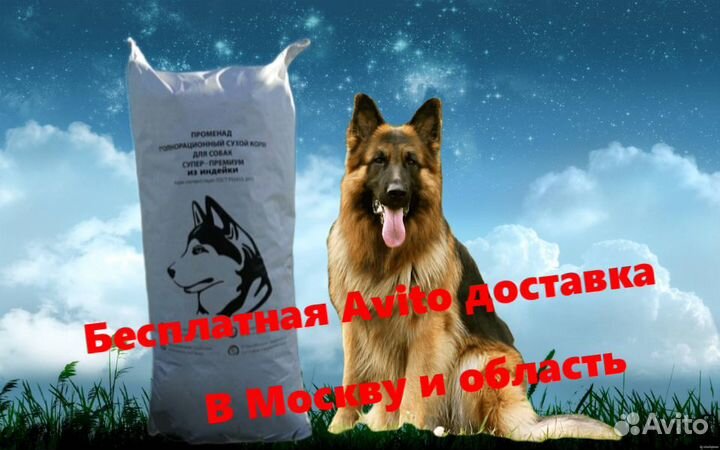 Сухой корм супер-премиум класса для собак/щенков