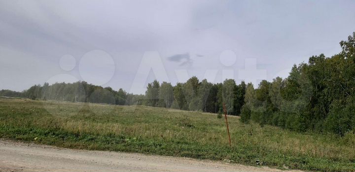 Участок 6,9 га (СНТ, ДНП)