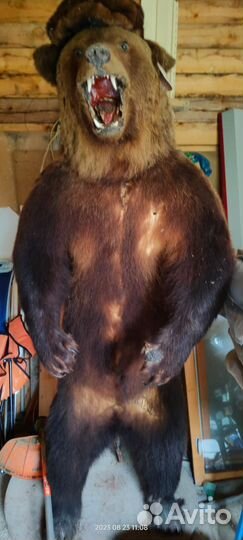 Чучело медведя (имитация)