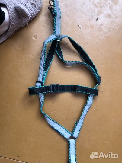 Шлейка для средней собаки