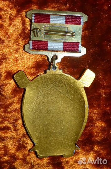 Знак Ветеран Первая конная армия