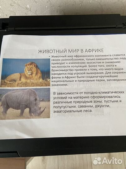 Принтер epson l210