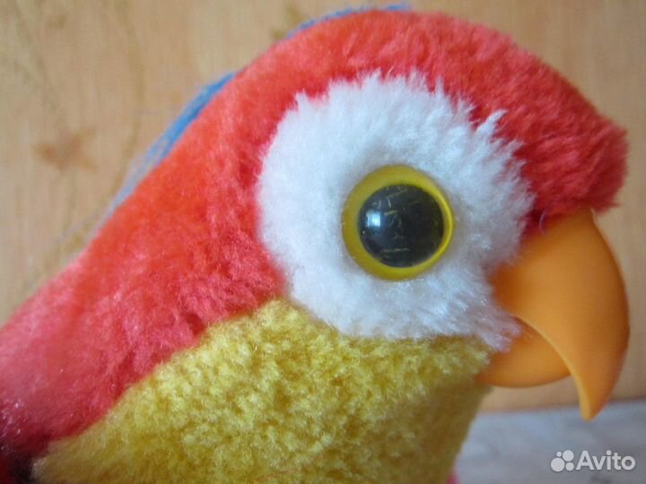 Декоративный (говорящий) попугай