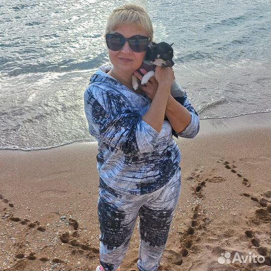 Собака ищет невесту
