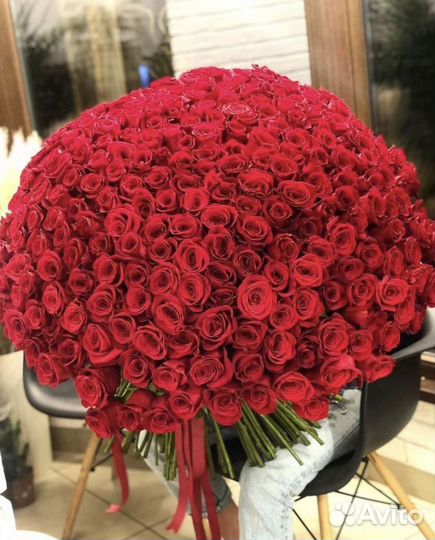 31 51 71 101 роза в букете