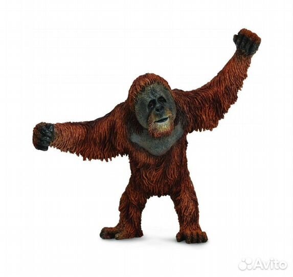 Орангутан L, 88730b