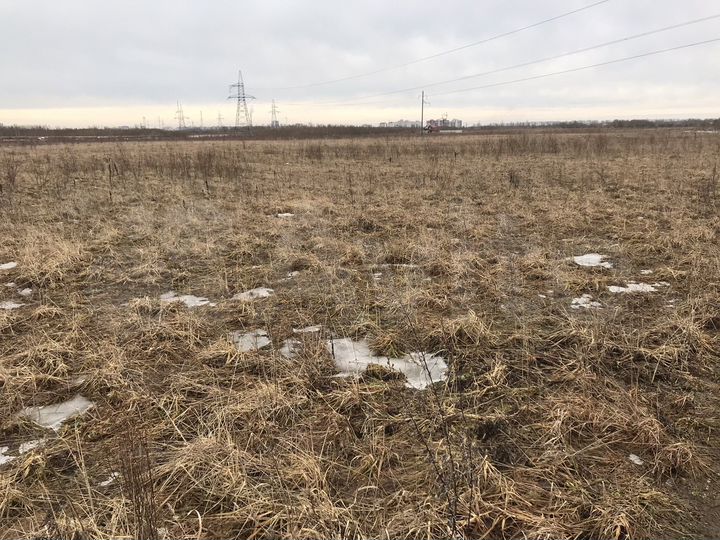 Участок 11,5 сот. (ИЖС)