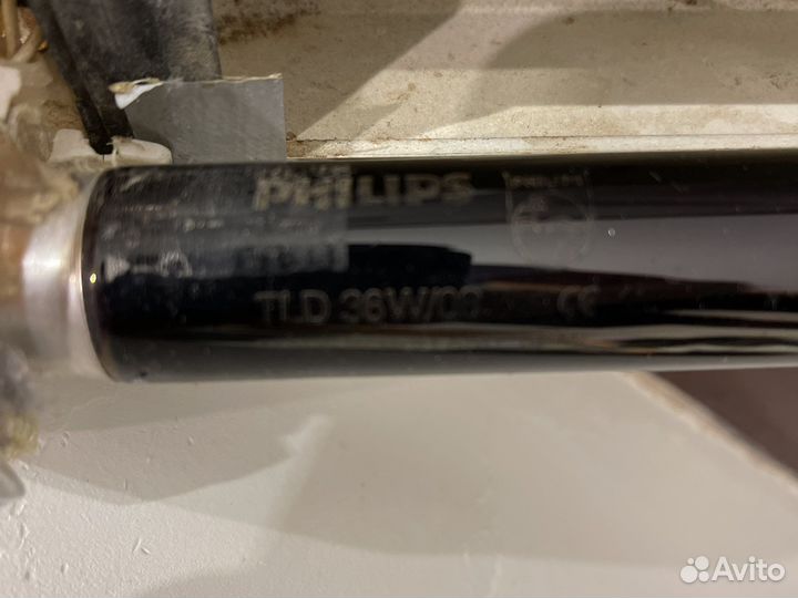 Ультрафиолетовая лампа клубная