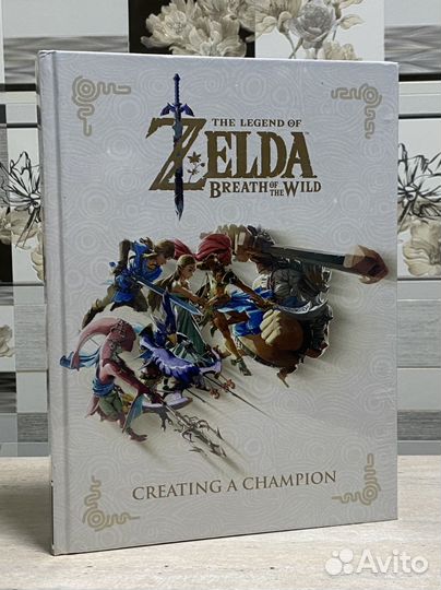 Zelda Breath Of The Wild Creating A Champion