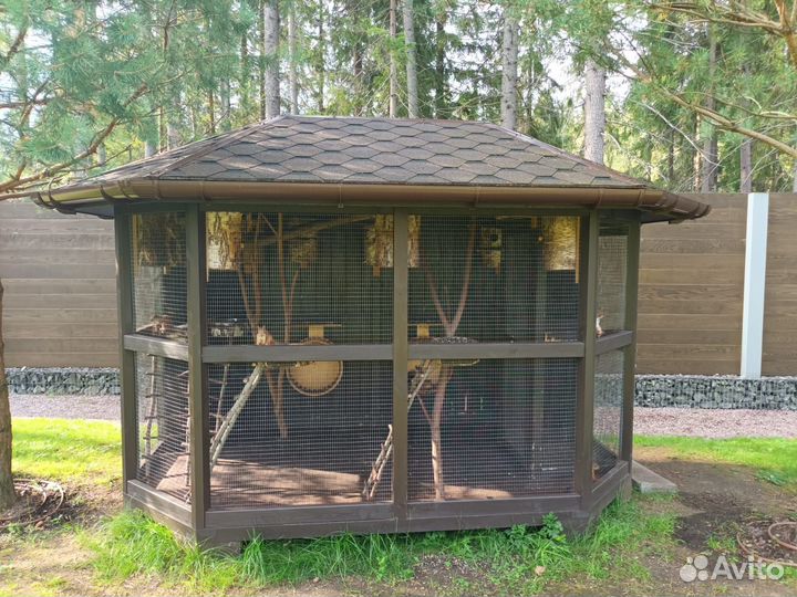 Бельчатник