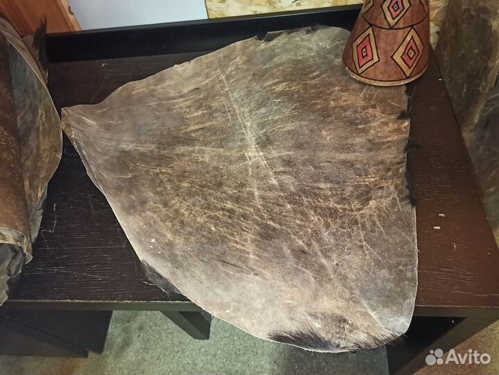 Небольшая кожа африканской козы для джембе