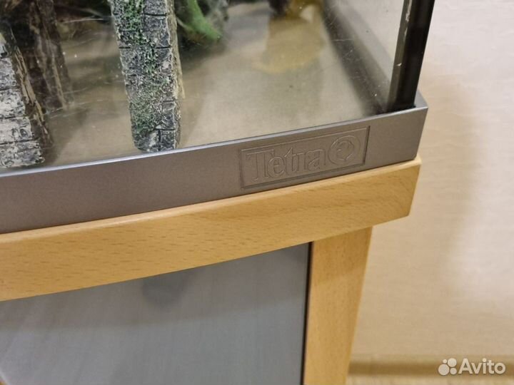 Аквариум tetra