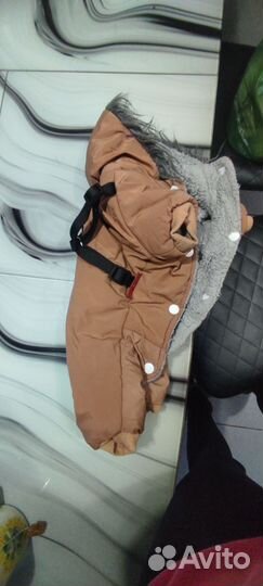 Одежда для собак мелких пород