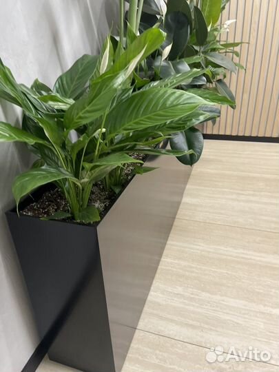 Дивайдер-кашпо для живых и искусственных растений