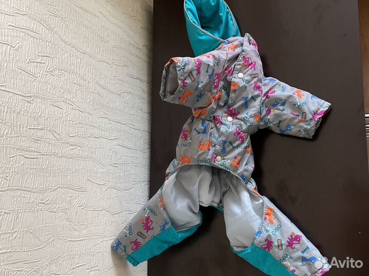 Костюм для собаки