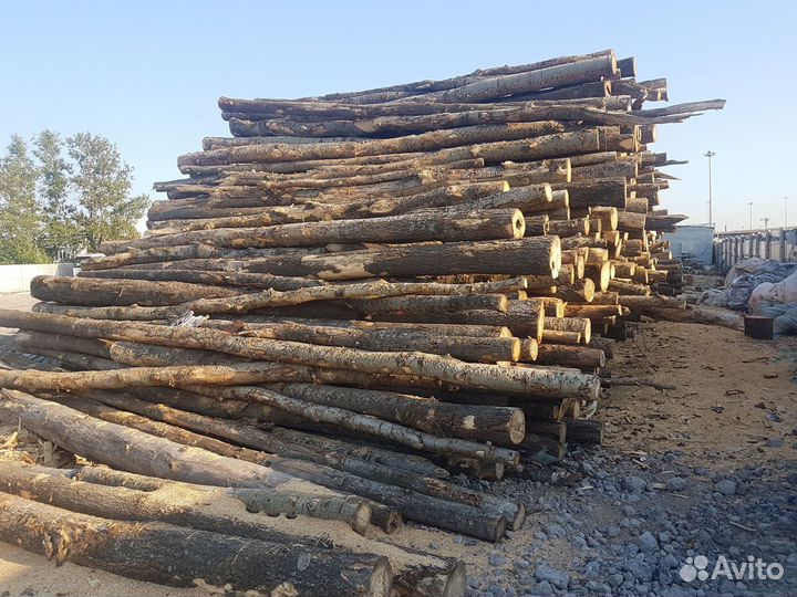 Дрова из ясеня от 6м3