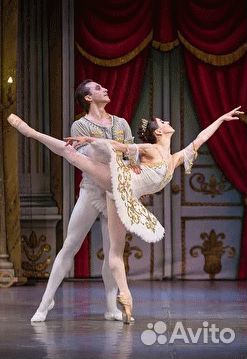 Спящая красавица за 1/2 стоимости