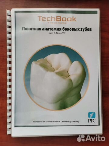 Правильная анатомия боковых зубов