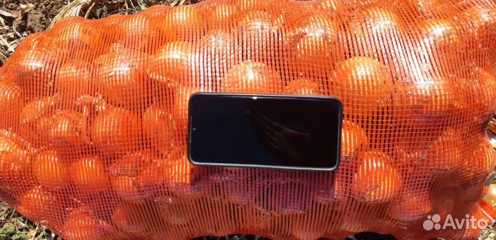 Лук Калибра 4+6+