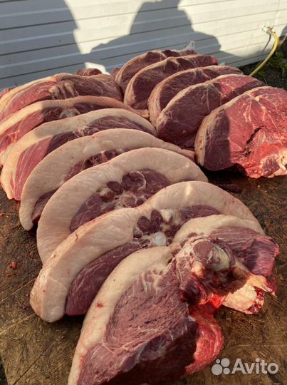 Конина забой 9 сентября