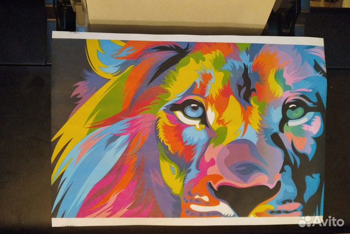 Принтер Epson L800/L805