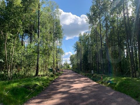 Участок 11 сот. (СНТ, ДНП)