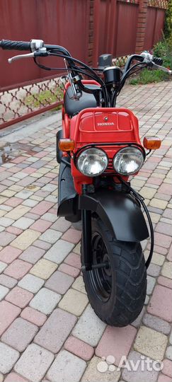 Honda Zoomer 50 из Японии без пробега по Р. Ф