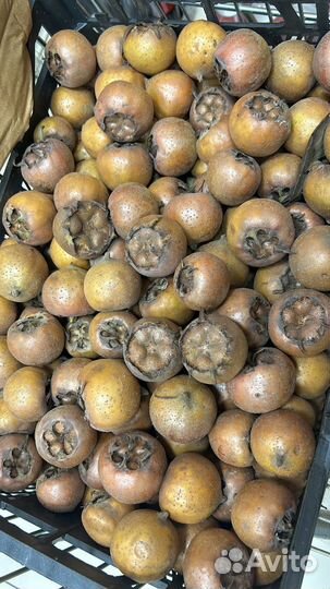 Клубника свежая