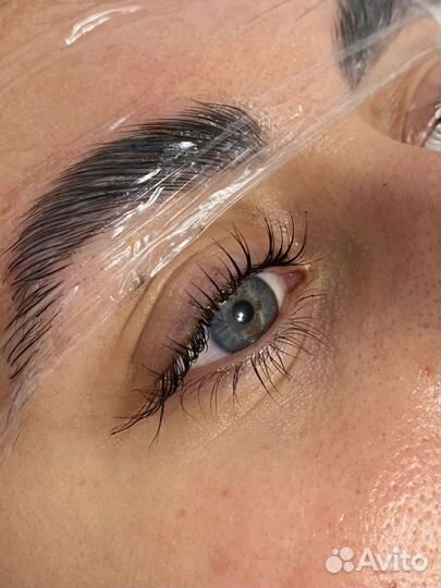 Обучение Курс «Мастер бровист»