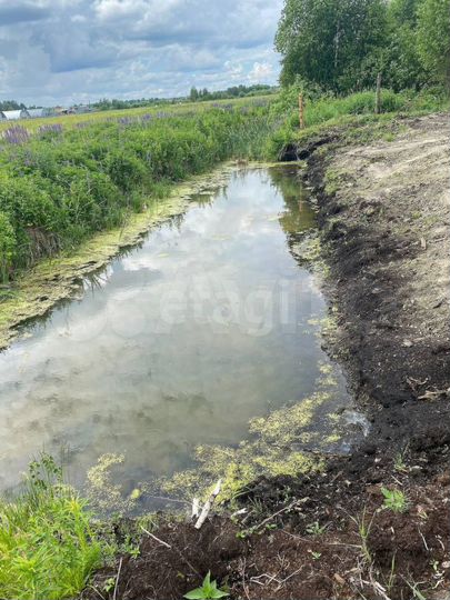 Участок 14,3 сот. (СНТ, ДНП)