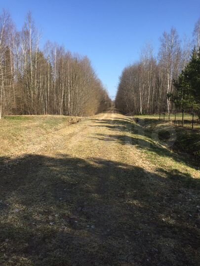 Участок 30 сот. (СНТ, ДНП)